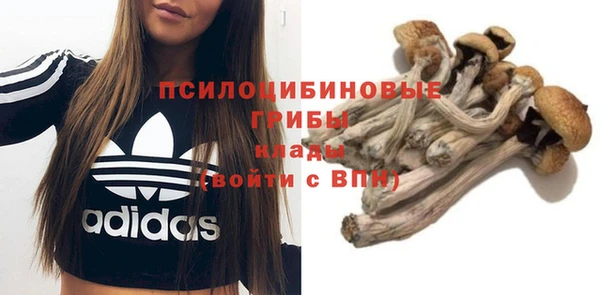 мдпв Чекалин