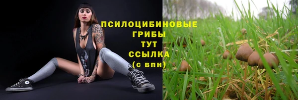 мет Шали