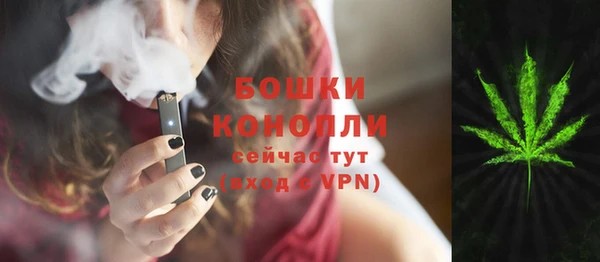 мдпв Чекалин